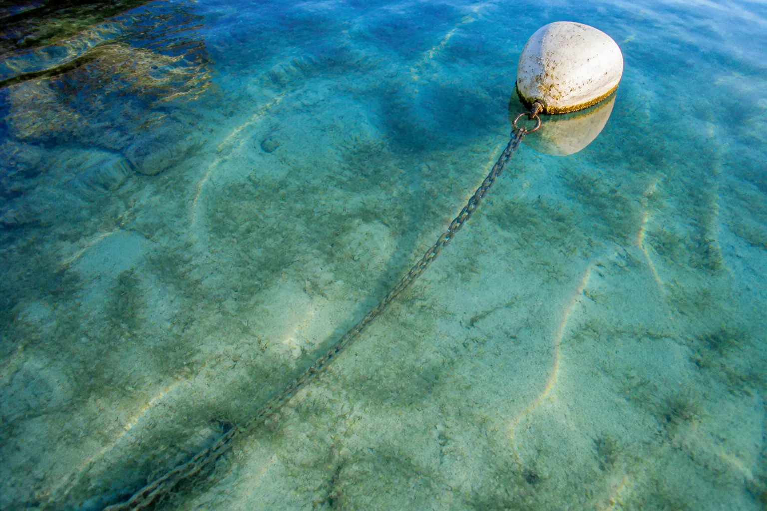 Mouillage sauvage ou port de plaisance : le dilemme du skipper
